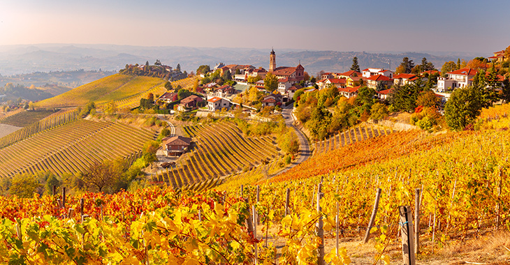 Tour in Chianti for Andrea Bocelli's Concert at the Teatro del Silenzio 2023